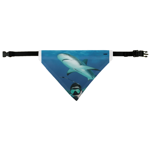 Pet Bandana - Swimming With Sharks Collection