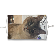 Load image into Gallery viewer, Face Mask Adjustable w/Filter - Siamese Cat - Rescue Pets - Chena