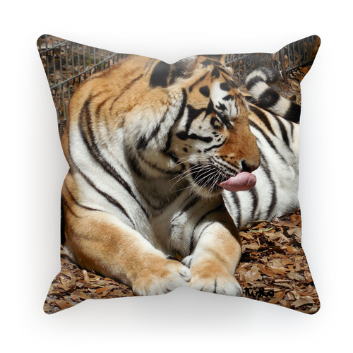 Sublimation Cushion/Throw Pillow Cover - Toby the Tiger Collection