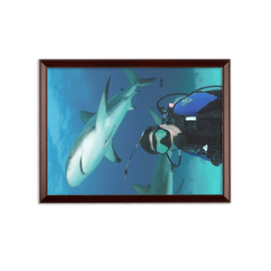 Sublimation Wall Plaque - Swimming With Sharks Collection