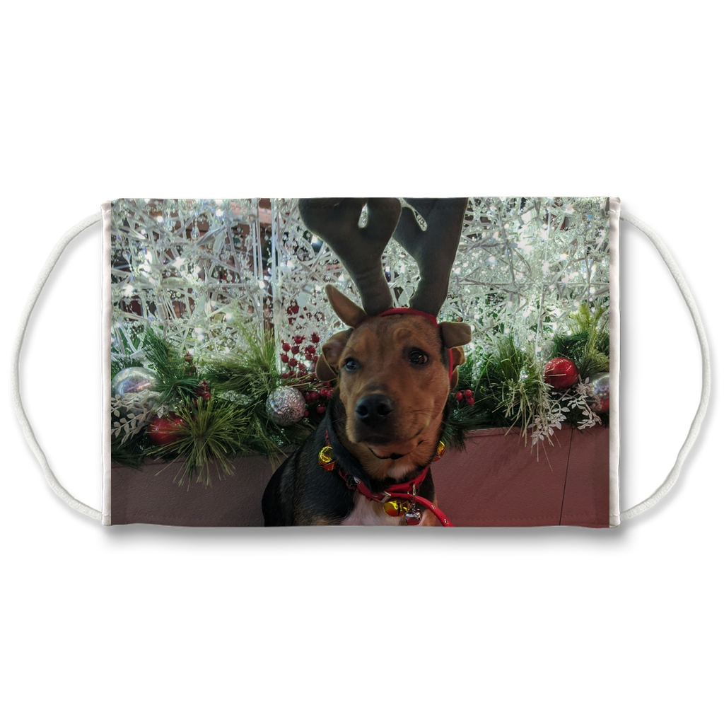 Face Mask Adjustable with Carbon Filter - Christmas Dog