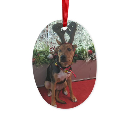 Dog Christmas Hanging Ornament Ceramic