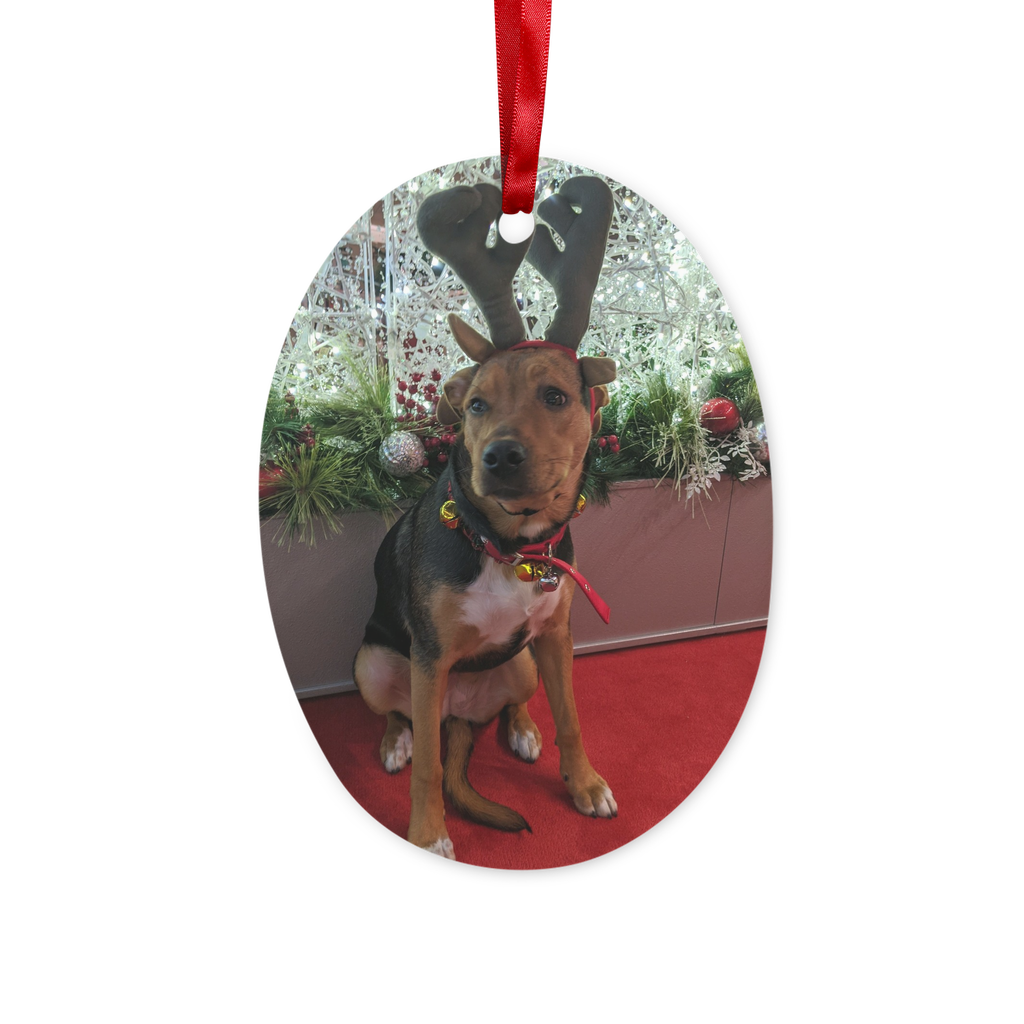 Dog Christmas Hanging Ornament Ceramic