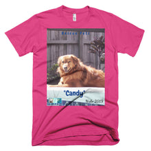 Load image into Gallery viewer, Unisex Fine Jersey Short Sleeve T-Shirt - Rescue Pets Collection - "Candy"