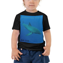 Load image into Gallery viewer, Toddler Short Sleeve Tee - Candy the Great White Shark Collection