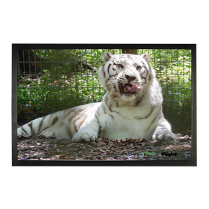 Sublimation Doormat - Wally the White Tiger Collection