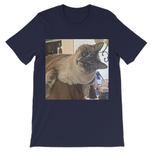 Load image into Gallery viewer, Classic Kids&#39; T-Shirt - Siamese Cat - Rescue Pets - Chena