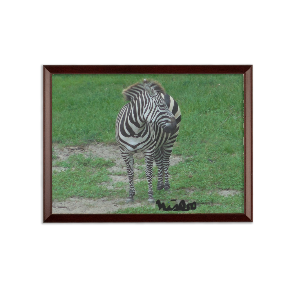 Sublimation Wall Plaque - Zoey the Zebra Collection