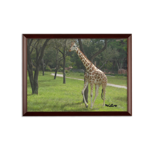 Sublimation Wall Plaque - Jeffrey the Giraffe Collection