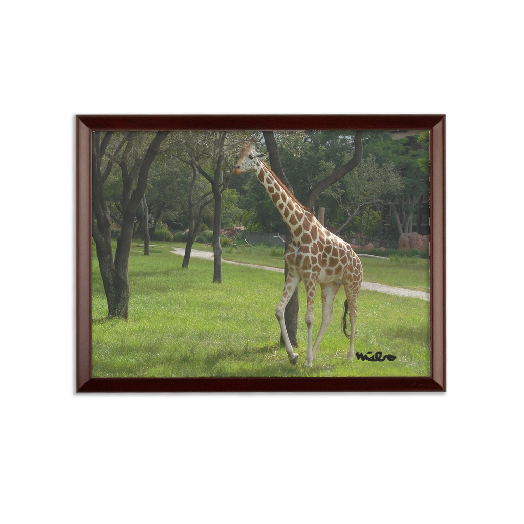 Sublimation Wall Plaque - Jeffrey the Giraffe Collection