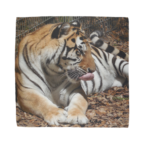 Sublimation Bandana - Toby the Tiger Collection