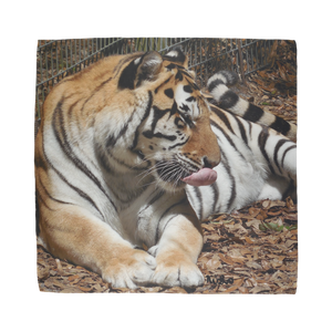 Sublimation Bandana - Toby the Tiger Collection