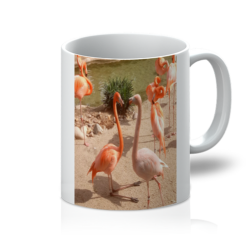 11oz Mug - Flamingo Friends Collection