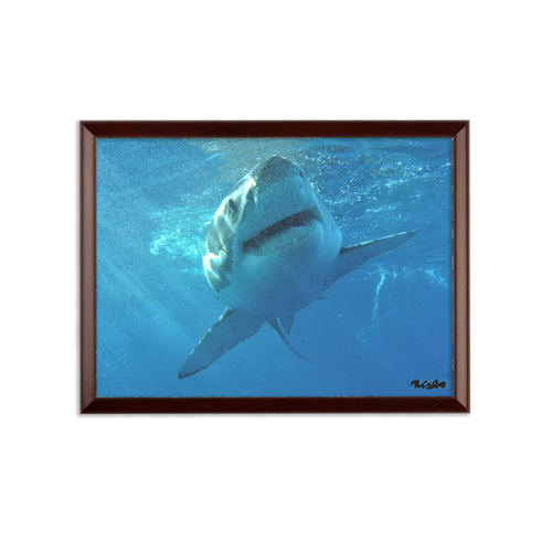 Sublimation Wall Plaque - Surrounded by Sharks Collection