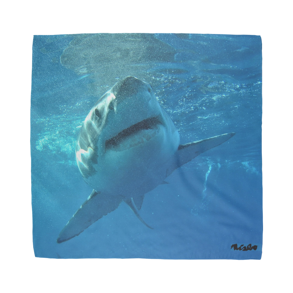 Sublimation Bandana - Surrounded by Sharks Collection