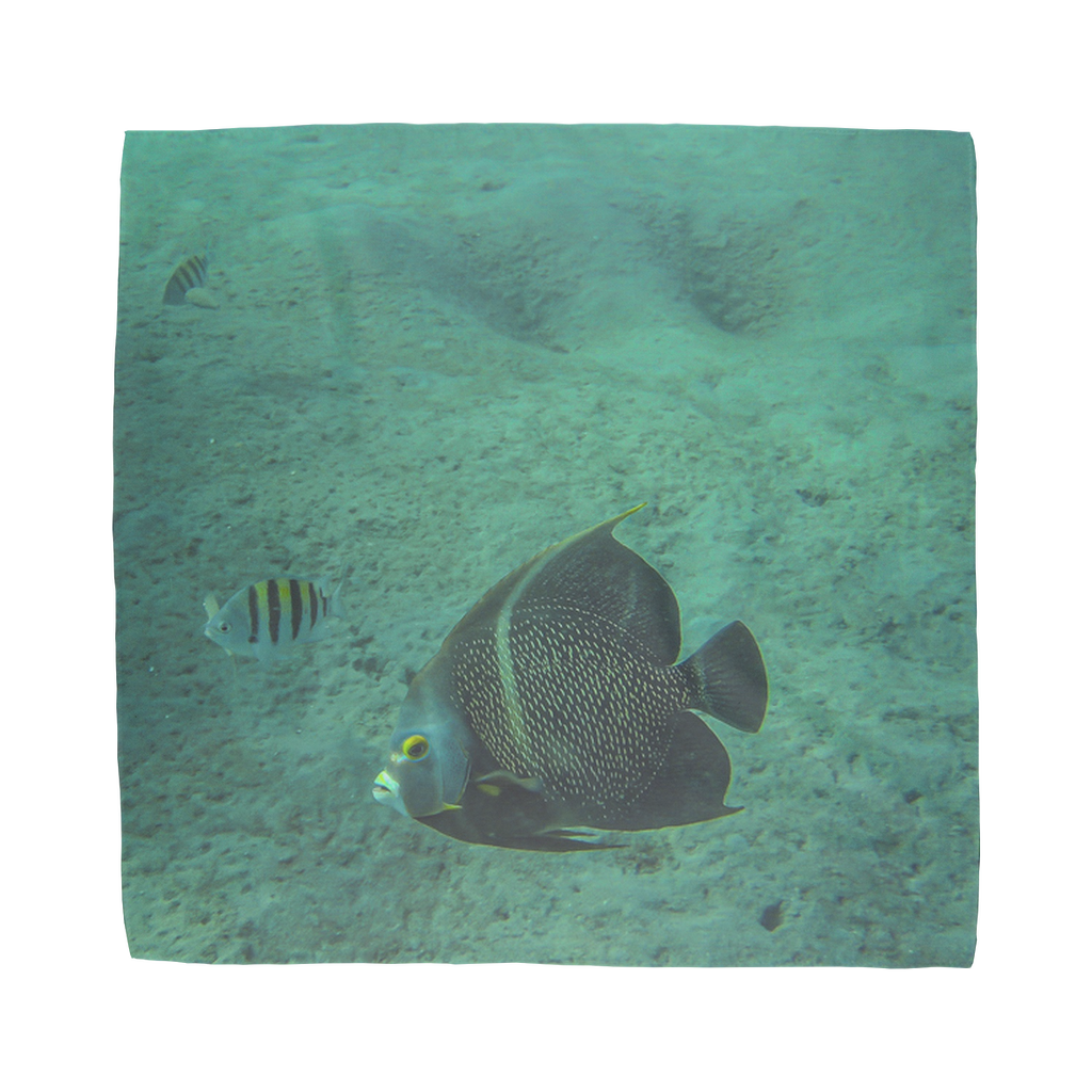 Sublimation Bandana - Reef Fish Collection - Angel