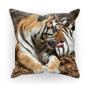 Sublimation Cushion/Throw Pillow Cover - Toby the Tiger Collection