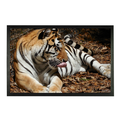 Sublimation Doormat - Toby the Tiger Collection