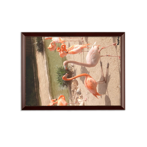 Sublimation Wall Plaque - Flamingo Friends Collection