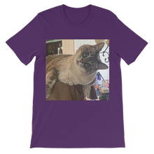 Load image into Gallery viewer, Classic Kids&#39; T-Shirt - Siamese Cat - Rescue Pets - Chena