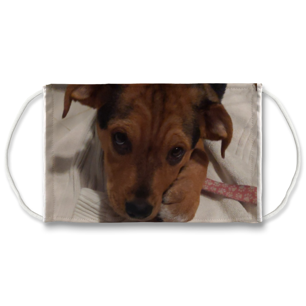 Face Mask Adjustable with Carbon Filter - Lucy Puppy