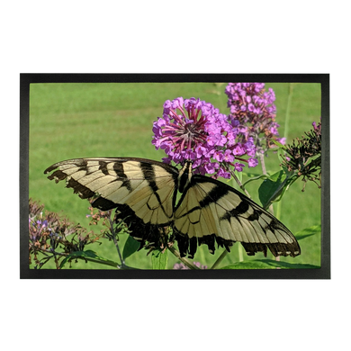 Sublimation Doormat - Swallowtail Butterfly - The Nature Collection