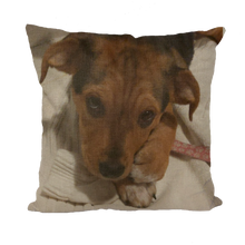 Load image into Gallery viewer, Throw Pillow/Cushion Cover - Rescue Pets Collection - &quot;Lucy&quot; VI (3 Styles Available)