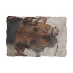 Pet Blanket -Sublimation - Rescue Pets Collection - "Lucy" VI