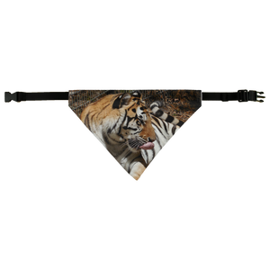 Pet Bandana - Toby the Tiger Collection