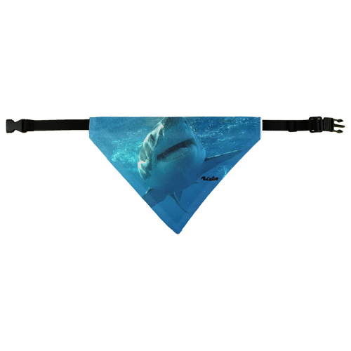 Pet Bandana - Surrounded by Sharks Collection
