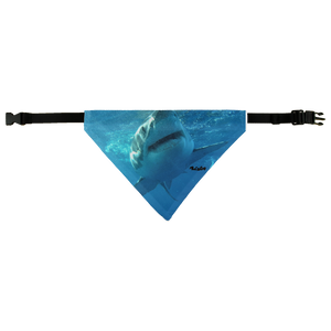 Pet Bandana - Surrounded by Sharks Collection