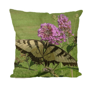 Throw Pillow/Cushion Covers - Swallowtail Butterfly - The Nature Collection