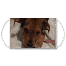 Load image into Gallery viewer, Face Mask Adjustable with Carbon Filter - Lucy Puppy