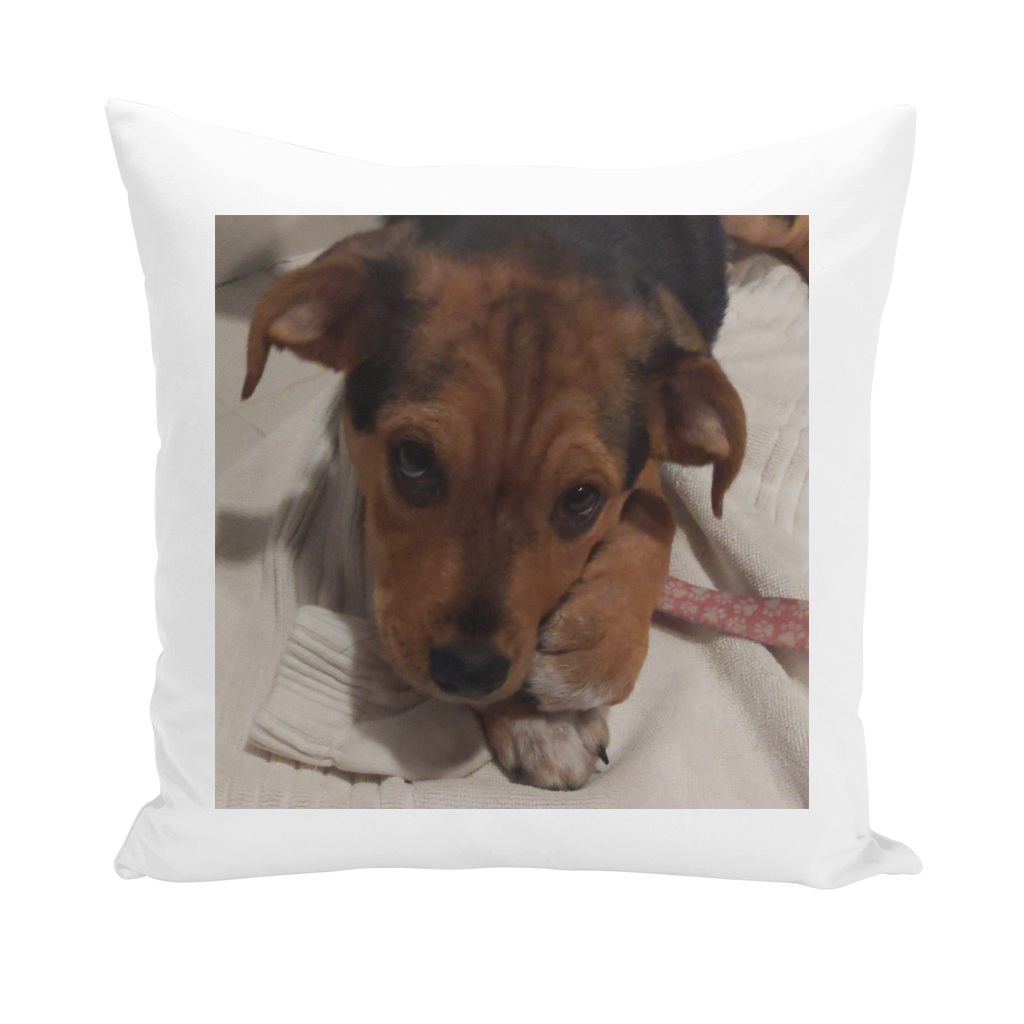 Throw Pillow/Cushion Cover - Rescue Pets Collection - 