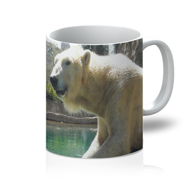 11oz Mug - Arctic Polar Bear Collection