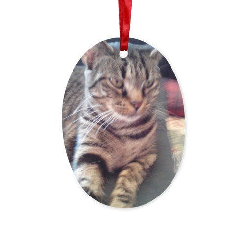 Tabby Cat Christmas Hanging Ornament Ceramic
