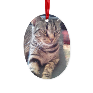 Tabby Cat Christmas Hanging Ornament Ceramic