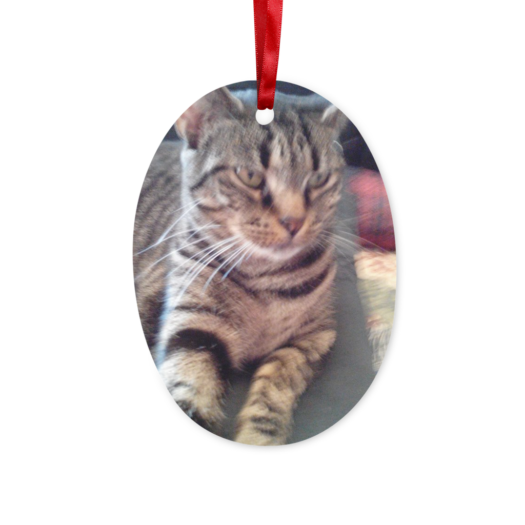 Tabby Cat Christmas Hanging Ornament Ceramic