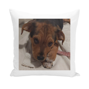 Throw Pillow/Cushion Cover - Rescue Pets Collection - "Lucy" VI (3 Styles Available)