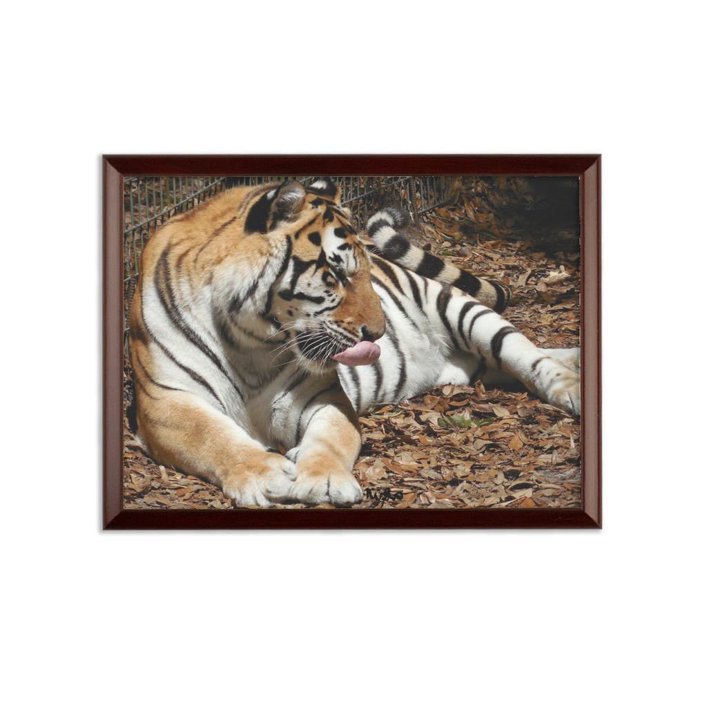 Sublimation Wall Plaque - Toby the Tiger Collection