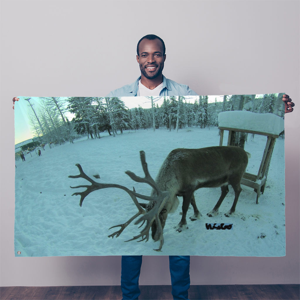 Sublimation Flag/Banner - Rudolph the Reindeer Collection