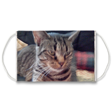 Load image into Gallery viewer, Face Mask Adjustable with Carbon Filter - Webby Tabby Cat