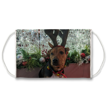 Load image into Gallery viewer, Face Mask Adjustable with Carbon Filter - Christmas Dog