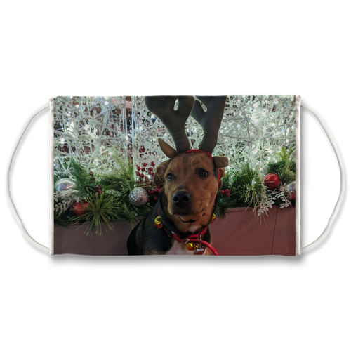 Face Mask Adjustable with Carbon Filter - Christmas Dog