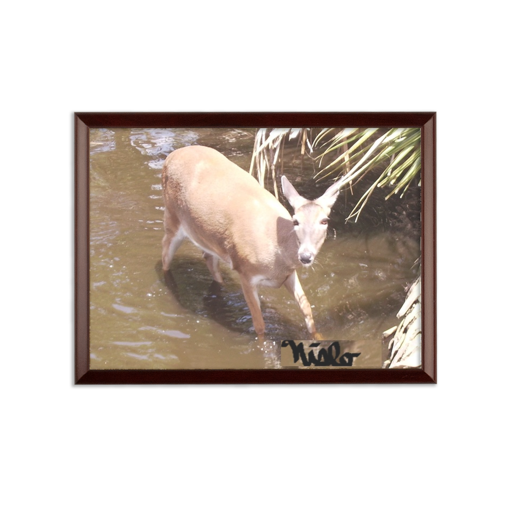 Sublimation Wall Plaque - Daisy the Deer Collection