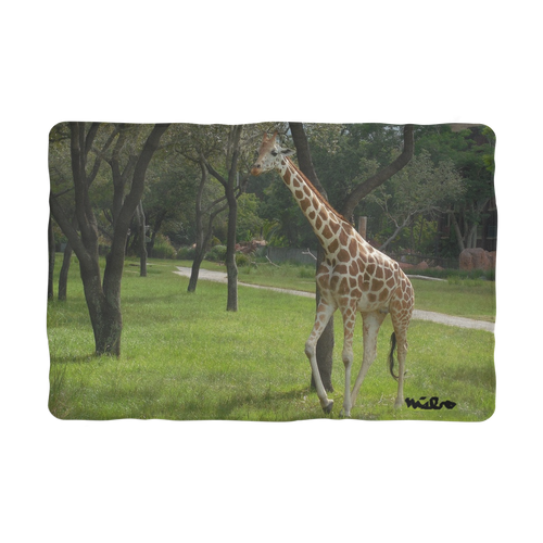 Sublimation Pet Blanket - Jeffrey the Giraffe Collection