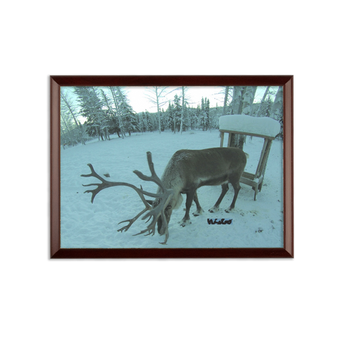 Sublimation Wall Plaque - Rudolph the Reindeer Collection