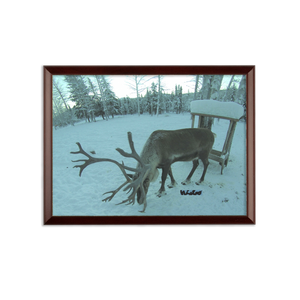Sublimation Wall Plaque - Rudolph the Reindeer Collection