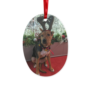 Dog Christmas Hanging Ornament Ceramic