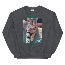 Load image into Gallery viewer, Unisex Premium Sweatshirt - Rescue Pets Collection - &quot;Webby&quot; III